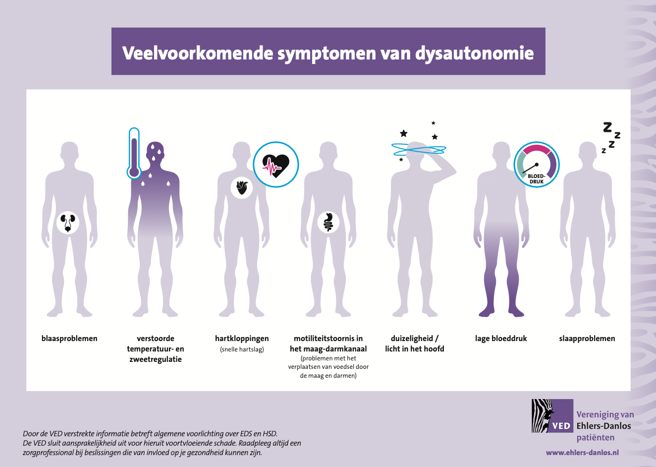 Infographic Veelvoorkomende symptomen van dysautonomie