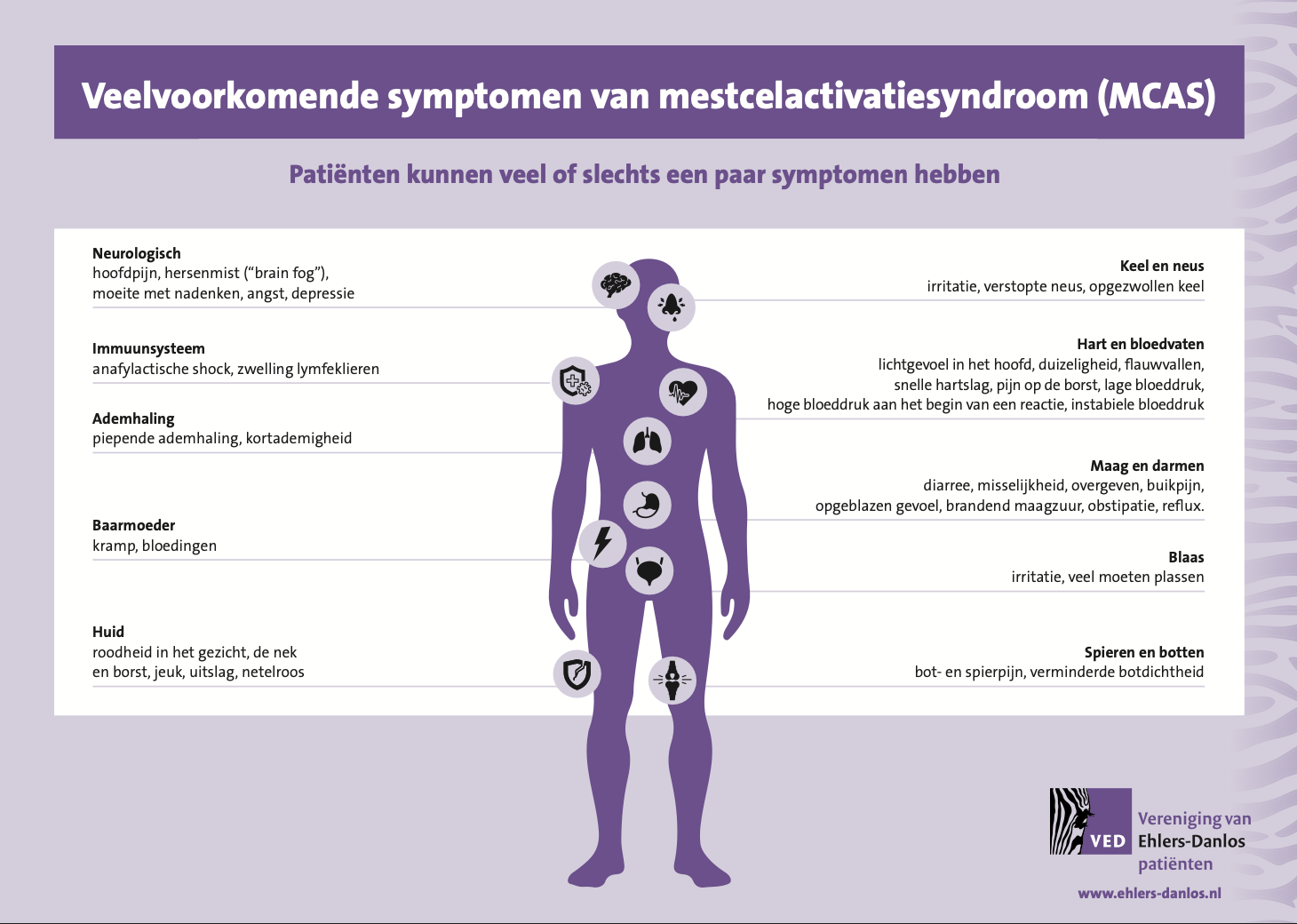 Infographic Veelvoorkomende symptomen van mestcelactivatiesyndroom