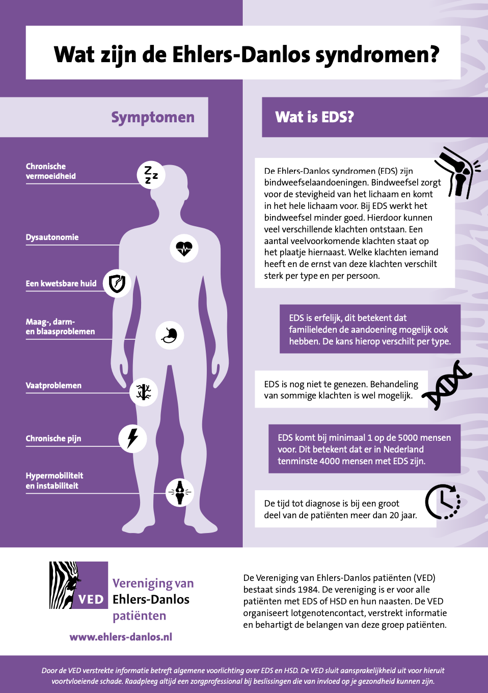 Infographic-EDS